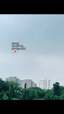 তোমাকে যত দেখি মনে হয় আরও দেখি। 🦢❤️‍🩹 #mahirrr_28 #caption #status #writer #weather 