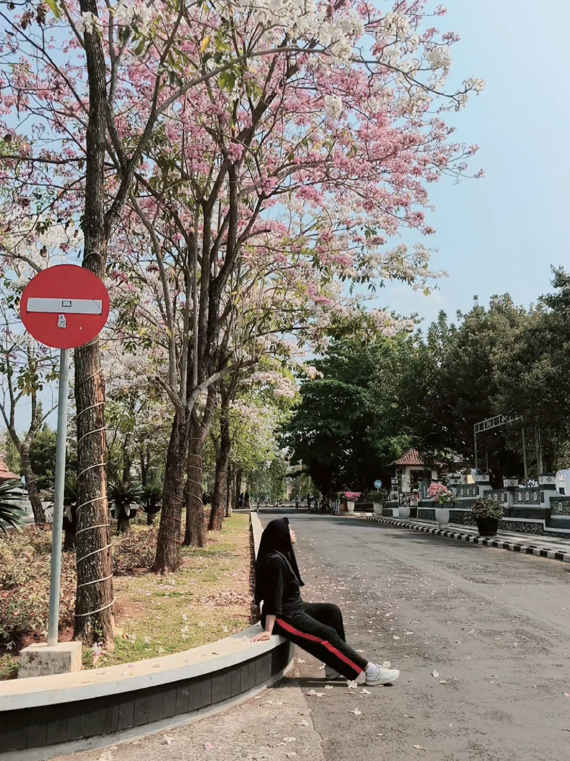 siapa yang baru tau juga klw alun2 kajen punya spot bunga sakura cantik bgt gini. ya ampun di slow motion gini bunga2 yg jatuh bener2 estetik bgt😍😍,,, harus bgt mampir kesini klw ke alun2 sekarang gais🥰😍😌 #fyp #kajenhits #pekalongan24jam #alunalunkajen #CapCut 