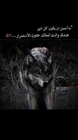 #لايك #اكسل #اكسبلور 