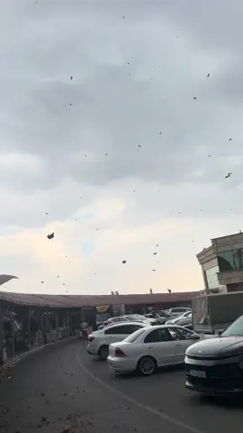 🌪️🌪️🌪️🌪️🌪️