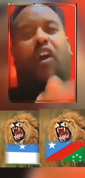 #CapCut 