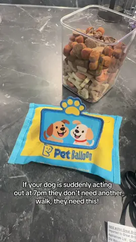 The ultimate treat-hunting mission! Sniff, pull, unravel, repeat. This Pet Balloon toy keeps them busy for SO long.. just hide the treats inside the 
