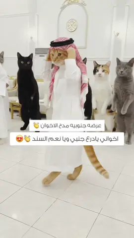 #شعراء_وذواقين_الشعر_الشعبي #شيلة #الرياض #موسم_الرياض #الخميس وناسة يوم الخميس اجازة عطلة 