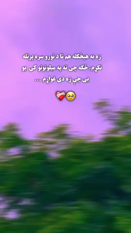 #fyp #foryou #viral #sad #pashto زه به هیڅکله هم تا د نوورو سره پرتله نکړم 🥹❤️‍🩹