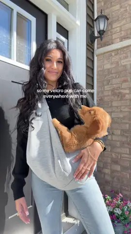 this one is the size medium!! #puppy #dogcarrier #dog #goldenretriever #dogmom 