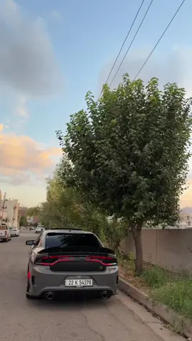 ماشاالله🩶🐝🔱#srt8 #SRT #ماشااللە_تبارك_اللە🧿 