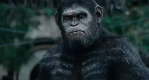 Caesar had so much aura 🥶 || War for the planet of apes edit  #edit #movie #caesar #fyp #planetoftheapes