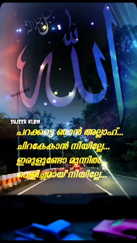 കൂടെയെൻ റബ്ബുണ്ടെങ്കിൽ റബ്ബിന്റെ തുണയുണ്ടെങ്കിൽ ❤️🤲😔 #everyone #explore #foryou #explorepage #foryourpage 