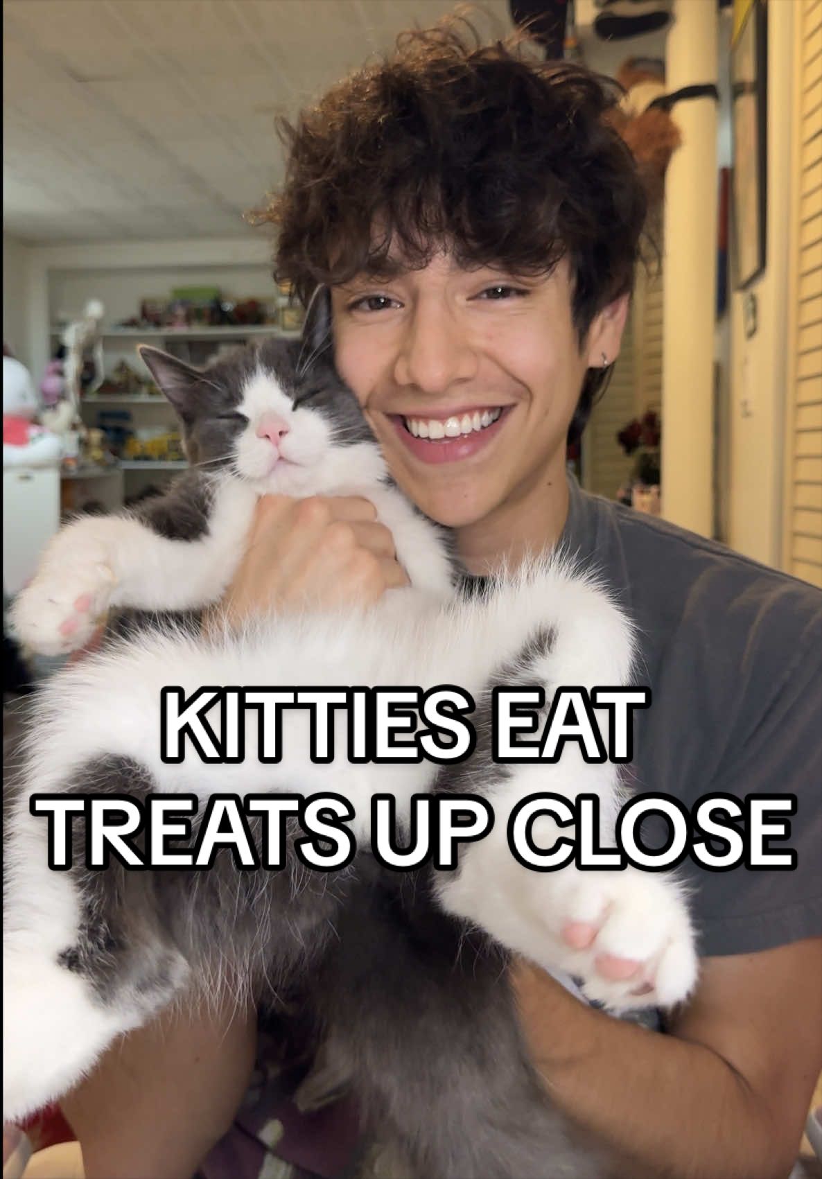 I volunteer to be their treat 🥹 IB: @pidandudu #catdad #catlover #catmeme #funnycat #creatorsearchinsights 