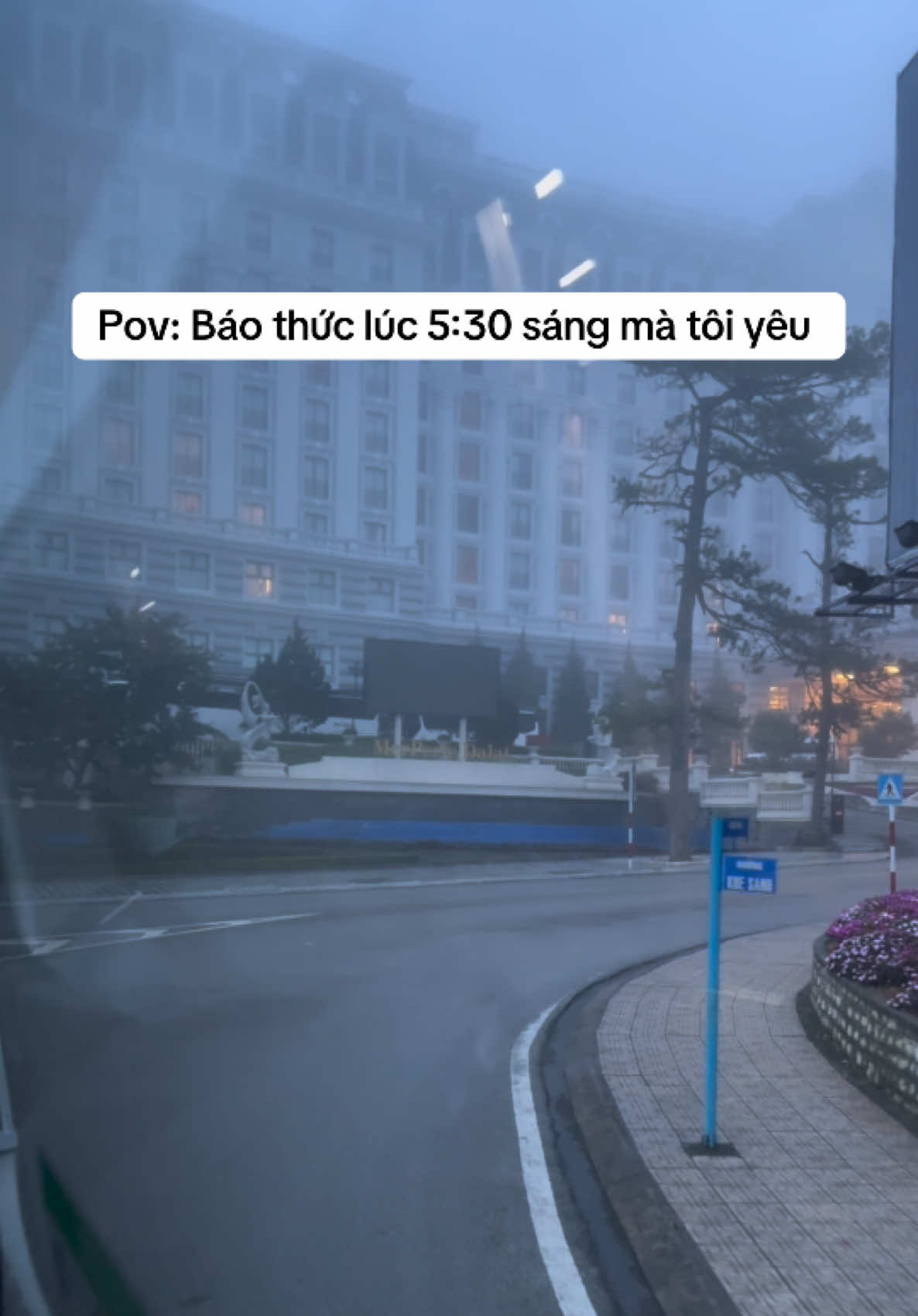 Báo thức này tôi yêu nhất, khỏi bàn cải  #xhhhhhhhhhhhhhhhhhhhhhhh #dalat #pov 
