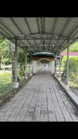 ဟယ် မဟုတ်သေးပါဘူး#1mviews #fyppppppppppppppppppppppp #g12 #university #viral 