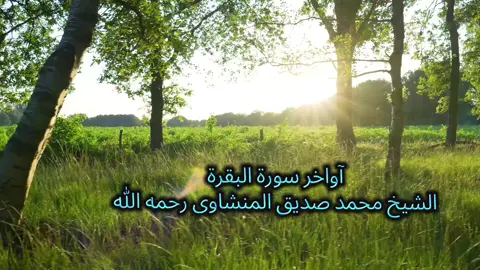 #ahmadamer2311  تلاوة خاسعة لآواخر سورة البقرة  للشيخ محمد صديق المنشاوى رحمه الله #راحة_نفسية #قران_كريم #قران @أصوات من السماء @أصوات من السماء 