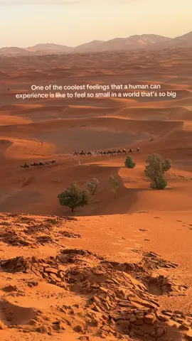 #sahara #maroc 