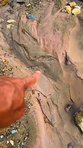 Looking for gold and panning for gold buried in river walls #golddiscovery #goldpanning #mininggold #goldhunter #viralvideo #viralvideo #foryou #foryoupage 