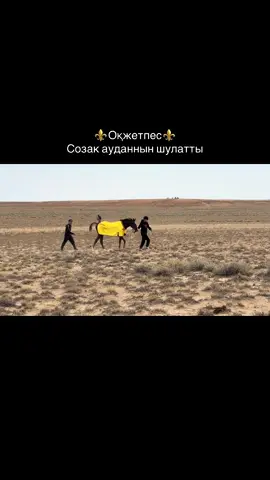 #жуантөбе80жылдык #арқаалтынтайы #1шіорын #созакауданы 