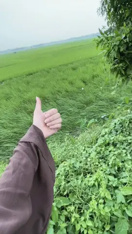 আমি মেয়ে কিন্তু সব কিছু চুপচাপ সহ্য করার মতো মেয়ে না। ঠিক কে ঠিক আর ভুল কে ভুল বলার মতো সাহস আমার আছে। প্রতিটা মেয়ের উচিত অন্যায়ের প্রতিবাদ করা। চুপ থেকে সব কিছু সহ্য করে সবার কাছে ভালো হওয়ার থেকে প্রতিবাদ করে ঠিক-ভুল চোখে আঙুল দিয়ে দেখিয়ে দিয়ে খারাপ মেয়ে হওয়া অনেক ভালো। আমি জানি আমি কেমন আর উপরওয়ালা জানে আমি কেমন। ব্যাস, আর কাউকে প্রমাণ দিতে পারবো না। 🖤#kim__ayesha7 #fyp #fyp #foryou #growmyaccount 
