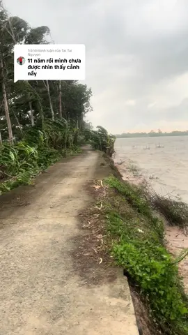 Trả lời @Tai Tai Nguyen 