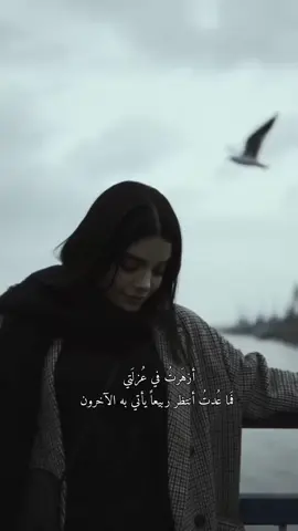 #🌹 #🦋 #تراتيل_أنثى #♠️ #اكسبلورexplore❥🕊 