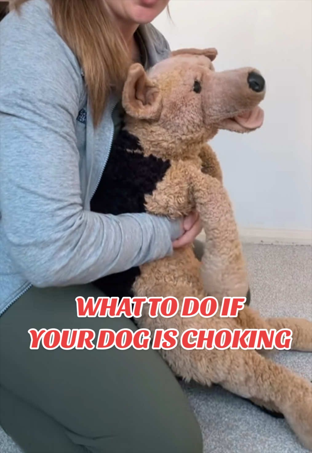 What to do if your dog is choking 🐶❗️  Don’t forget to save and share - this could save a life ❤️  #dogfirstaid #chokingdog #dogheimlich #dog #whattodo 