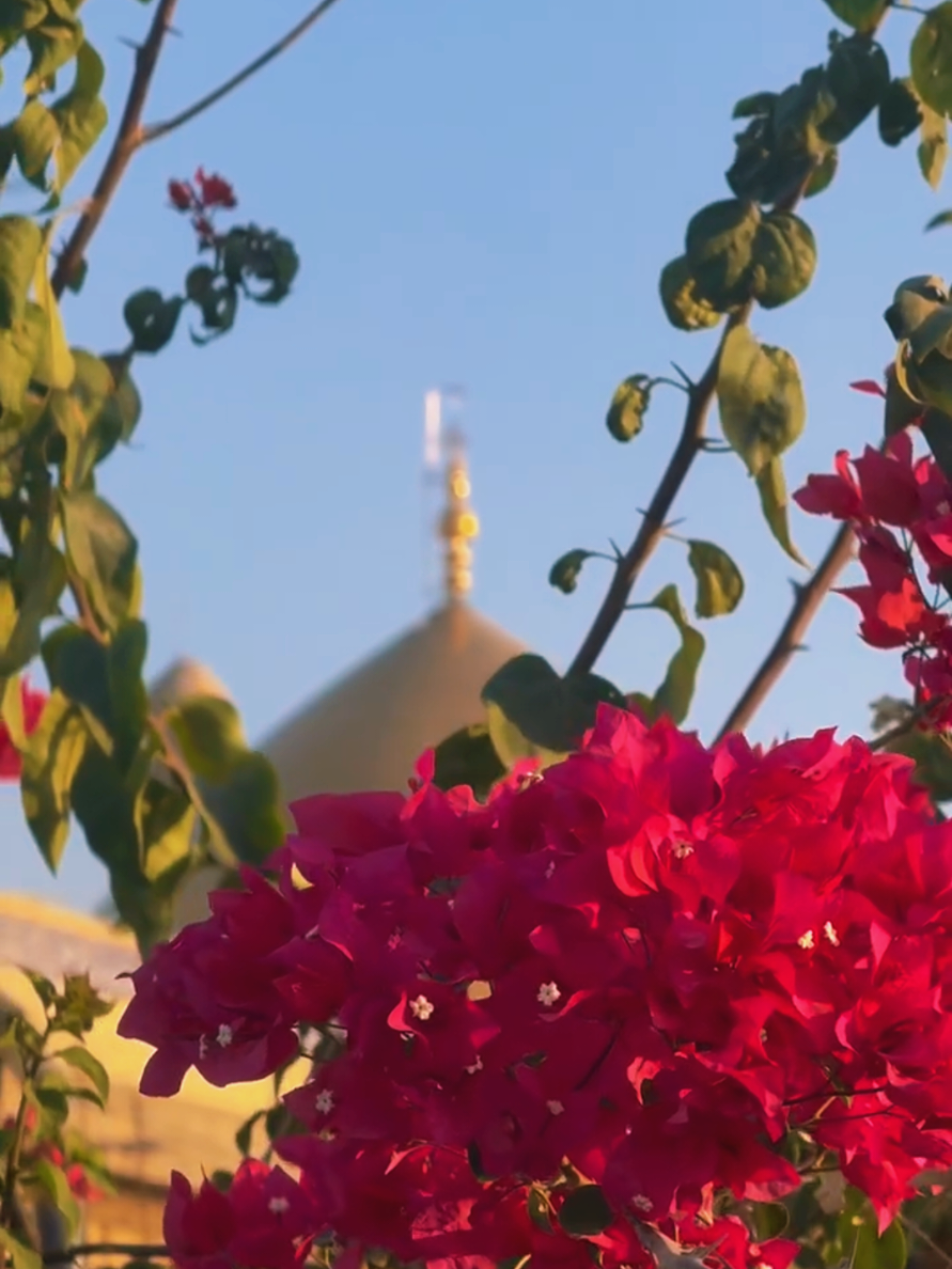 #karbala #syedshahidbashaam 
