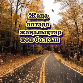 #CapCut 