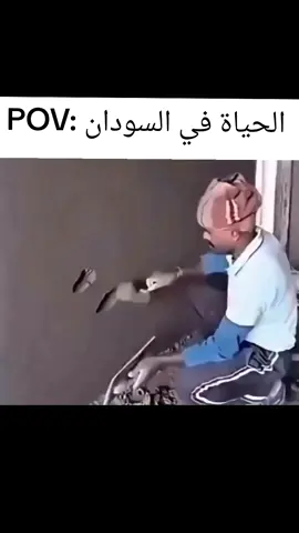#creatorsearchinsights #الشعب_الصيني_ماله_حل😂😂 