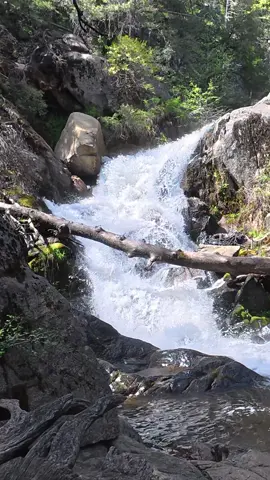 The best therapy in the world doesn’t cost a dime and smells like fresh pine. #sierranationalforest #NatureLovers #RiverStream #ExploreNature #NatureTherapy 