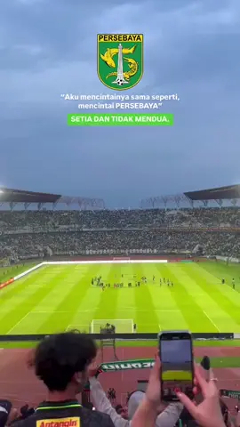 i Will never stop loving you#persebayasurabaya🐊💚 #songforpridepersebaya #salamsatunyali #fyp #masukberanda 