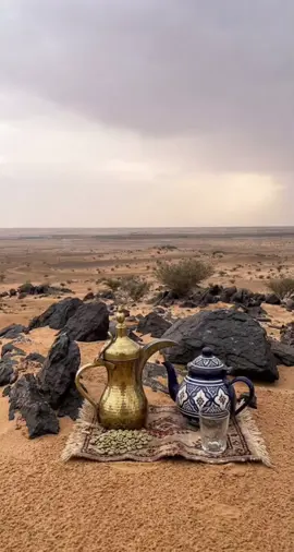 قصايد #شيلات #خواطر #شعر #اكسبلورفولو 