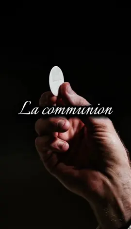 Le plus grand mystère de la Sainte Communion ✨ Ô Seigneur Jésus, je crois que vous êtes réellement et substantiellement présent dans la sainte Hostie, avec votre corps, votre sang, votre âme et votre divinité. Je le crois fermement parce que vous l’avez dit, vous qui êtes la vérité même. Je crois que dans ce Sacrement, vous, mon Sauveur, vrai Dieu et vrai homme, vous vous donnez à moi, pour me faire vivre plus abondamment de votre vie divine ; je le crois, mais fortifiez et augmentez ma foi. Ainsi soit-il. #foi #jesus #amen🙏 #tiktokchretien #catholique 