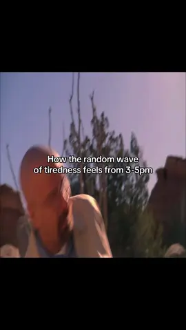 It’s cus of school #meme #viral #giftok #funny #gif 