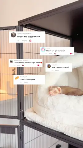 I’ve been getting a lot of questions asking where I got my ferret cage! I’m attaching the link to it here! 🤍✨ Also, if you are wondering where I got the additional items check my bio!  #ferret #huron #ferrettok #ferretcare #ferretcage 