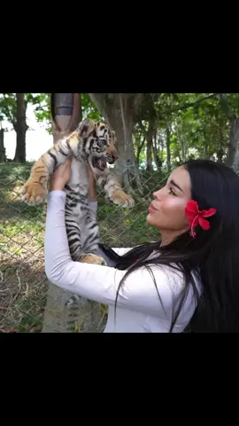 VIAJÉ A CUBA PARA AYUDAR A ESTOS ANIMALES… Y ESTO FUE LO QUE ENCONTRÉ 🇨🇺 YT: Giorgiana Rosas ❤️ #giorgirosas @Giorgi 