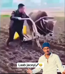 #somalia #somaliland #foryoupage❤️❤️ #comedy #laabjecel 