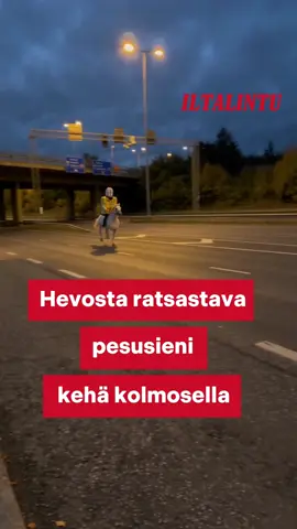 Hevosta ratsastava pesusieni kehä kolmosella #tiktoksuomi #meemit #fyp 
