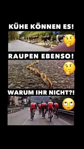 #erinnerung 