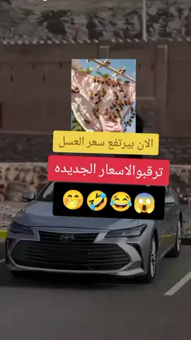 #اشعب_اصيني_مال_حال😹💔 #لايكات #متبعه #اكسبلور #