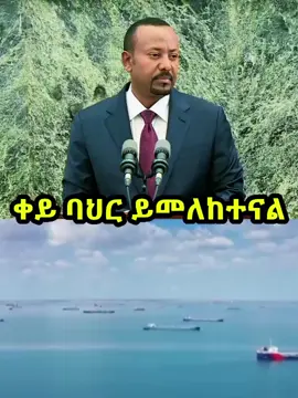 #drabiyahmed🇪🇹🇪🇹🤴 #nationaldialogueday #lidatuayalew #CapCut #CapCut 