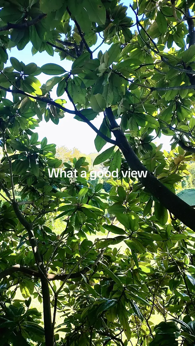 What a good view