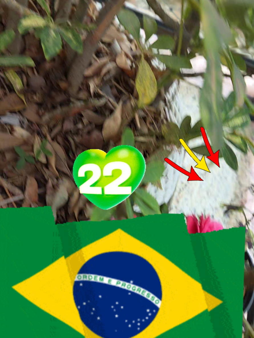 #capitaodopovo #mito  #22#brasil #patriaamadabrasil 