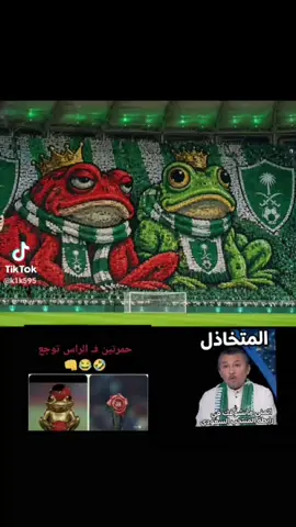 🤣🤣🤣