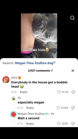 NOW HOLD ON- #CapCut #megantheestallion #tiktok #twitter #xyzbca 