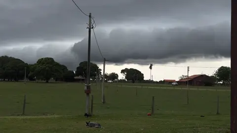 Aí vem a bruta 🌧️🌫️ pro pantanal 🍃🍀   