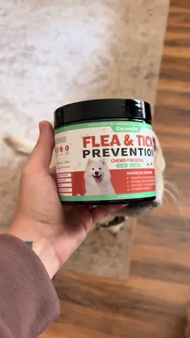 #fleasandticks #dogsoftiktok #dogsupplements 