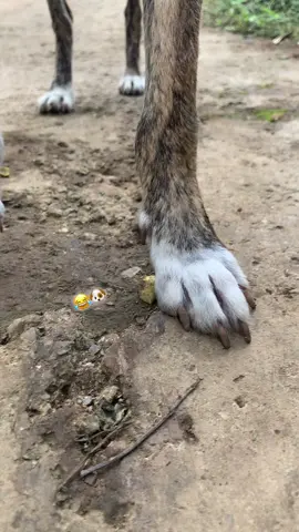 #😂😂