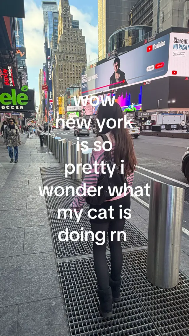 miss my baby lowk #nyc #newyork #cat #relatable #fyp