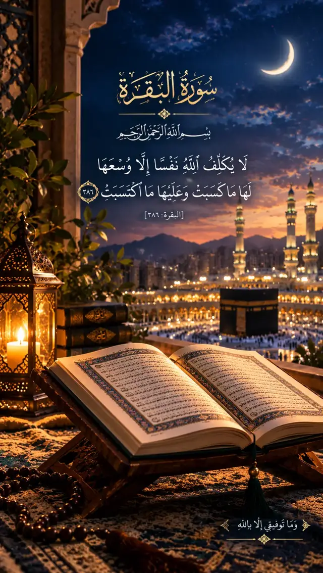تلاوة هادئة من القرآن الكريم 🤍📖 ﴿ لَا يُكَلِّفُ اللَّهُ نَفْسًا إِلَّا وُسْعَهَا #اسلاميات 