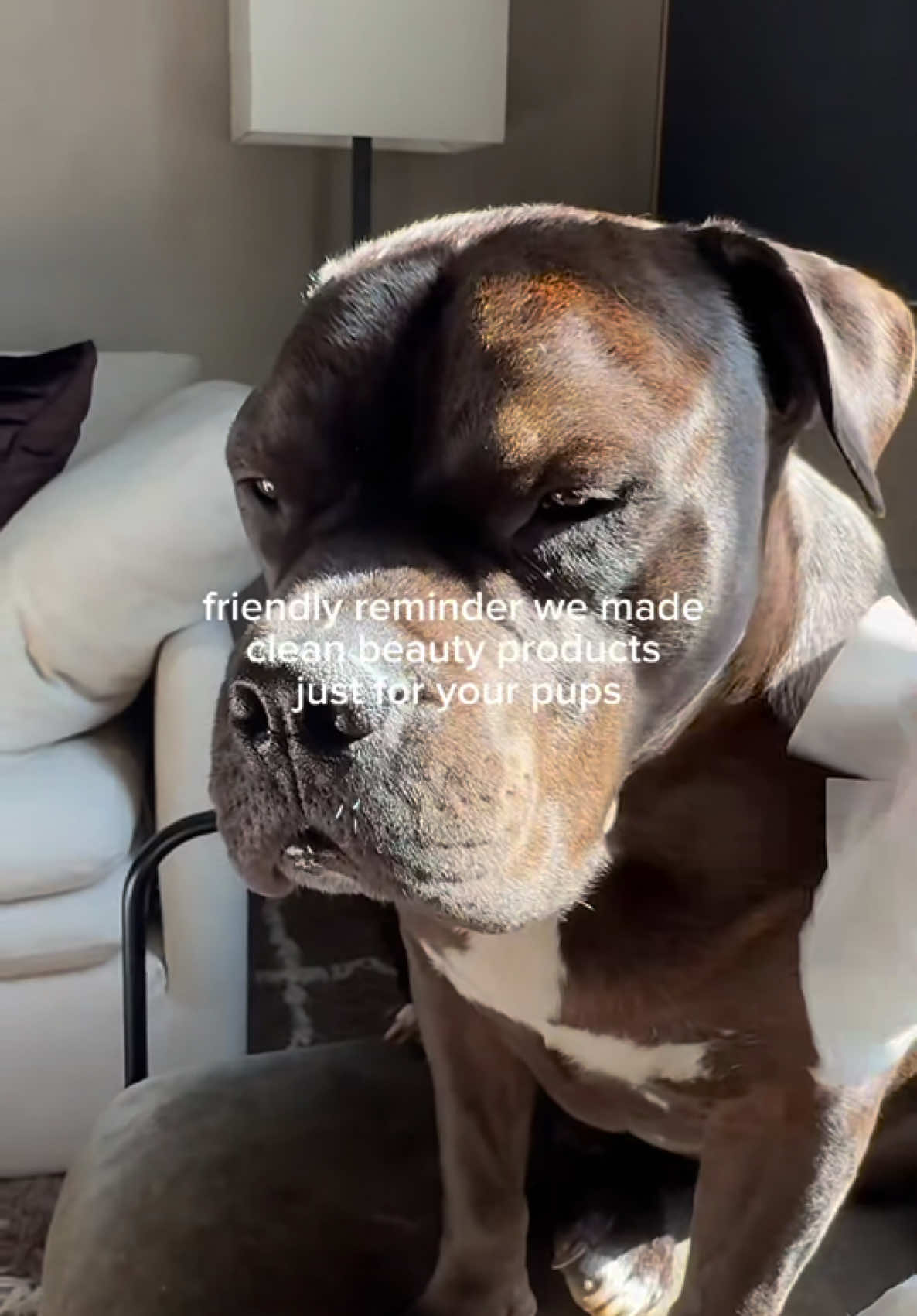 the same standard for you and your luvs #cleanbeauty #dogproducts #petcare #dogwipe #dogshampoo
