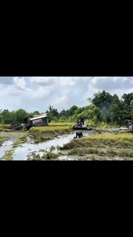 lương khủng ae oi #linhtrieudinh #xuhuong #viral_video_tiktok @Trường Duy🍀🇻🇳 @nguyễn lâm @Đăng Khôi 🚜🌾 @Be Đường Mương•🌾 @Trọng Phước ✈️🌾 