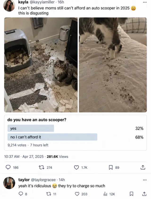 My cats litter box is automatic 